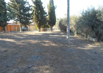 Foto 39 - Independent house Contrada Sant'Egidio, Monsampolo del Tronto - photo 39