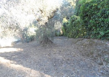 Foto 41 - Independent house Contrada Sant'Egidio, Monsampolo del Tronto - photo 41