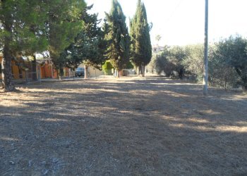 Foto 42 - Independent house Contrada Sant'Egidio, Monsampolo del Tronto - photo 42