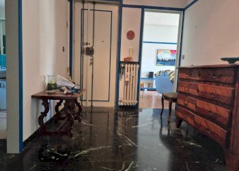 Ingresso - Appartamento corso Galileo Ferraris, Cuneo (zona Donatello) - foto 10