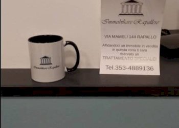 Altro - Bilocale frazione San Massimo, Rapallo - foto 43