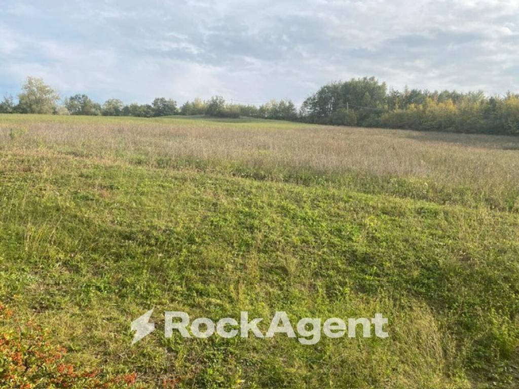 Terreno - Terreno agricolo via Zappati, Sala Baganza - foto 3