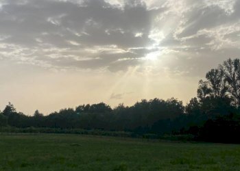 Terreno - Terreno agricolo via Zappati, Sala Baganza - foto 1