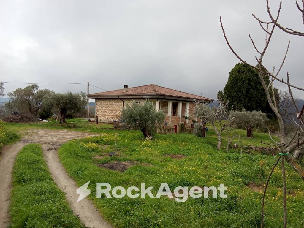 Terreno - Casa indipendente contrada san sergio mammola, Mammola - foto 1