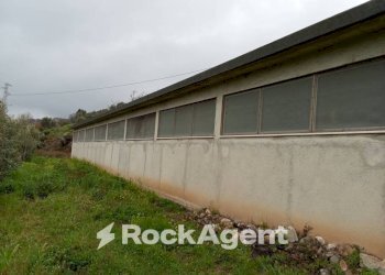 Terreno - Casa indipendente contrada san sergio mammola, Mammola - foto 17