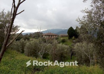 Terreno - Casa indipendente contrada san sergio mammola, Mammola - foto 21