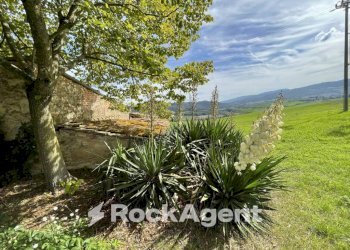 Terreno - Rustic podere santo ottaviano 74, Pomarance - photo 3