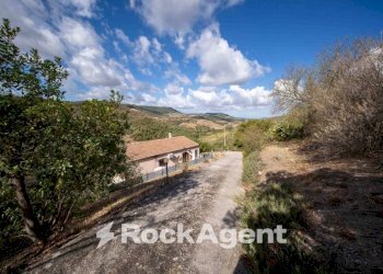 Terreno - Independent house via Francesco Cossiga, 180, Siligo - photo 2