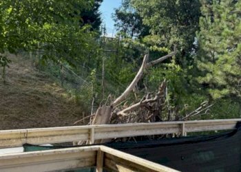 Vista - Appartamento via Puccini, Solignano - foto 17