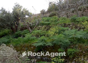Terreno - Casa indipendente corso Antonio Gramsci, Grotteria - foto 15
