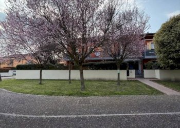 Giardino - Appartamento via Monte Fasolo, 2, Abano Terme - foto 31