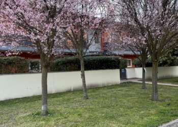 Giardino - Appartamento via Monte Fasolo, 2, Abano Terme - foto 32
