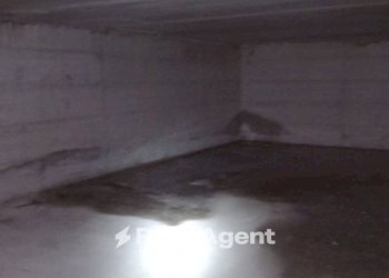 Cantina - Warehouse via Giacomo Brodolini, 30, Fabriano - photo 11