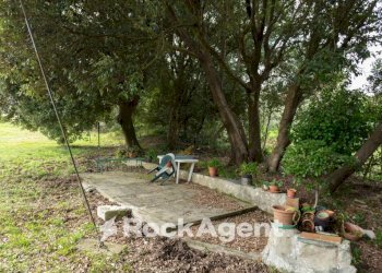 Giardino - Rustico via di Quarrata, 13, Livorno - foto 20