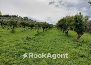 Terreno - Agricultural land strada Statale 107 Silana Crotonese, Crotone - photo 1