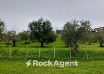 Terreno - Agricultural land strada Statale 107 Silana Crotonese, Crotone - photo 4