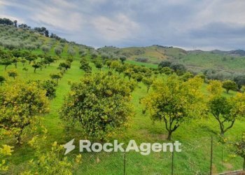 Vista - Agricultural land strada Statale 107 Silana Crotonese, Crotone - photo 8