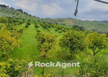 Vista - Agricultural land strada Statale 107 Silana Crotonese, Crotone - photo 10