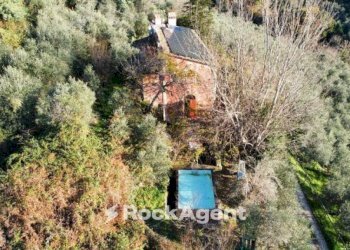 Terreno - Villa Località sopra le Vigne, Calci, Calci - photo 22