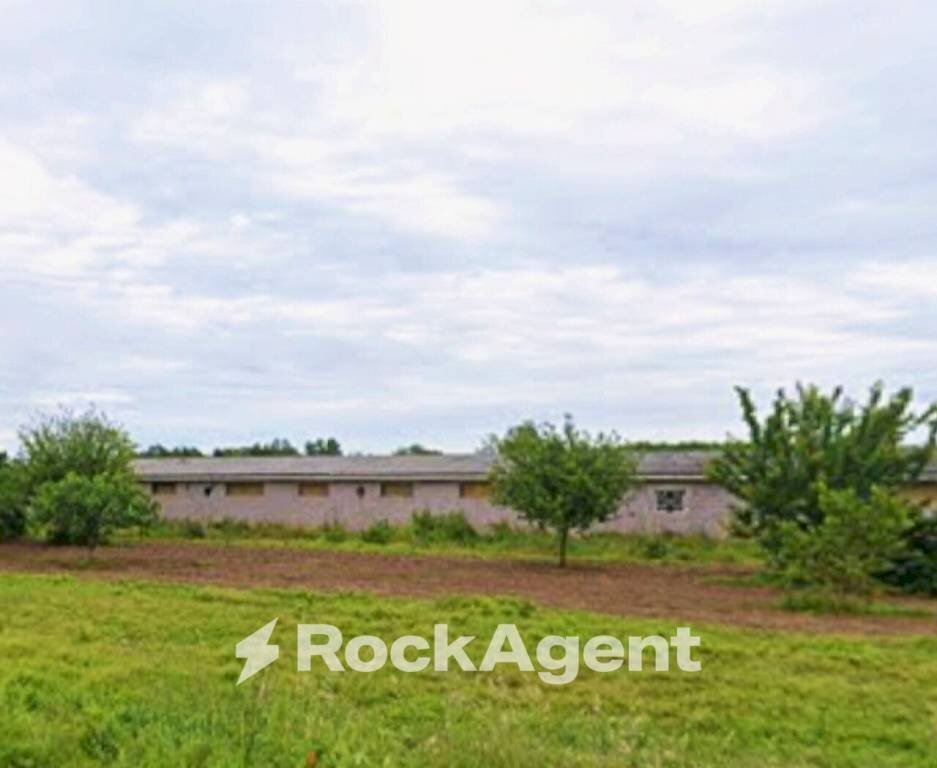 Terreno - Capannone strada semiana, Semiana - foto 2