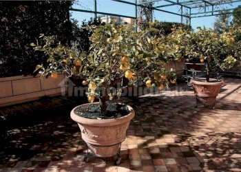 Giardino - Attic via Saverio Mercadante, Roma - photo 18