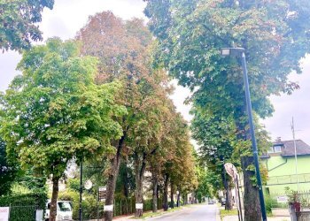 foto annuncio viale - Negozio Alba - foto 1