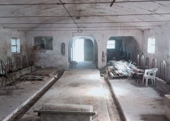 Casa indipendente Villafranca Piemonte - foto 5