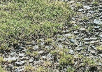 Casa indipendente Villafranca Piemonte - foto 16