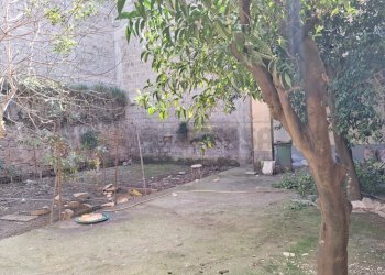 WhatsApp Image 2026-03-18 at 09.45.08 (5).jpeg - Independent house Via Sambuci, San Prisco - photo 16