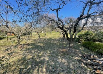 IMG_7429.jpg - Quadrilocale Via Chiusa 9, Perugia - foto 18