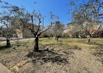 IMG_7432.jpg - Quadrilocale Via Chiusa 9, Perugia - foto 21