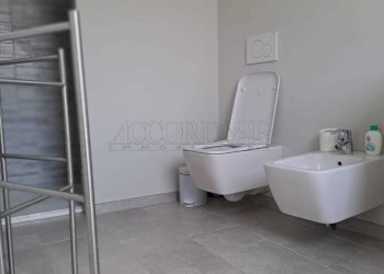 Immagine WhatsApp 2025-04-09 ore 11.01.53_4d1ba190 - Casa indipendente Padova - foto 2