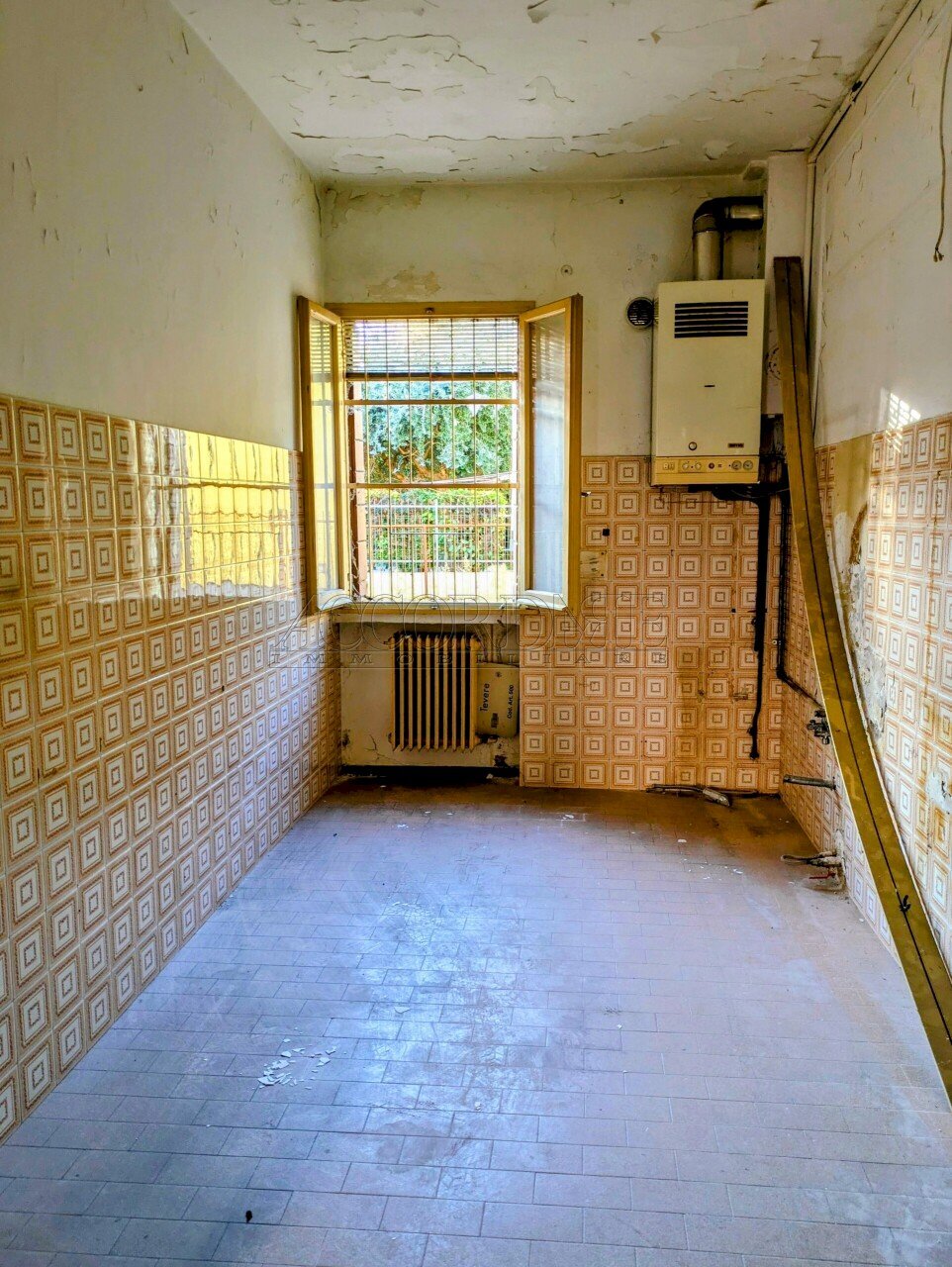 PXL_20250917_160319765-EDIT~2.jpg - Independent house Via Tiziano Vecellio 22, Padova - photo 2