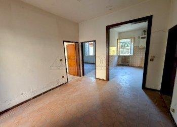 PXL_20250917_160351019-EDIT.jpg - Villa Via Tiziano Vecellio 22, Padova - foto 3