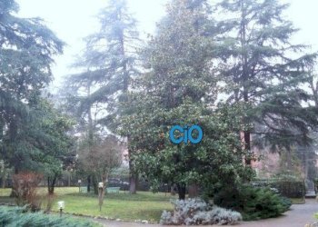 8.jpg - Appartamento Bologna - foto 8