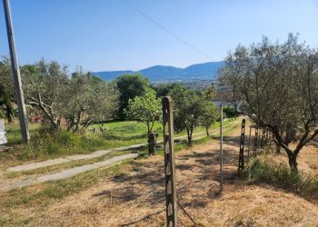 20250619_174120.jpg - Terreno agricolo Castelnuovo Magra - foto 1