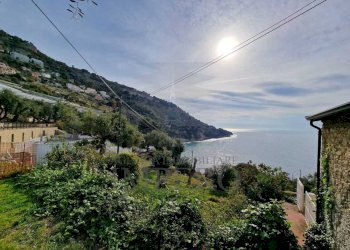 giardino - Villa Corso Mentone 2, Ventimiglia - foto 18