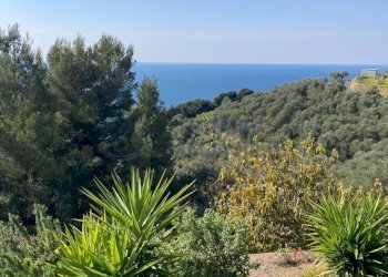 WhatsApp Image 2026-03-26 at 11.10.19.jpeg - Casa indipendente Via Provinciale, Costarainera - foto 8