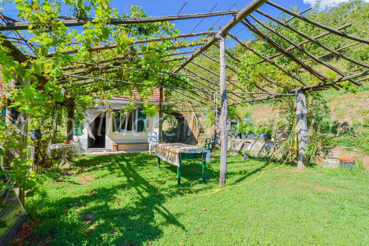 STELLA-02.jpg - Appartamento Località Panazza 18, Stella - foto 1