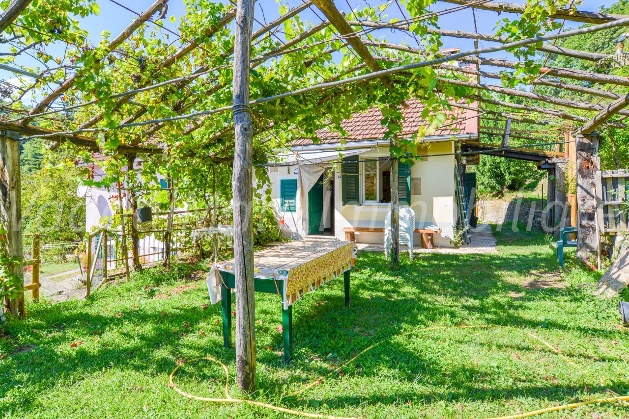 STELLA-01.jpg - Appartamento Località Panazza 18, Stella - foto 2