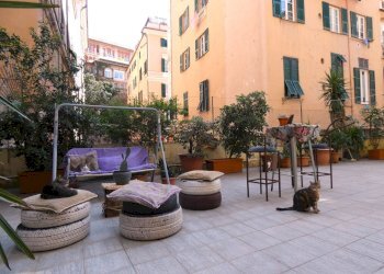 terrazza - Apartment Via Caffaro 32A, Genova (neighborhood Foce) - photo 25