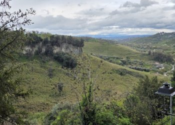 20260326_171800.jpg - Loft Via della Valle 1, Morlupo - photo 15