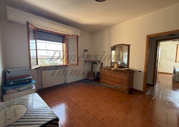 photo_8_2026-03-25_21-45-23.jpg - Quadrilocale Via Carlo Collodi, Rosignano Marittimo - foto 12