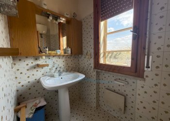 photo_14_2026-03-25_21-45-23.jpg - Quadrilocale Via Carlo Collodi, Rosignano Marittimo - foto 14