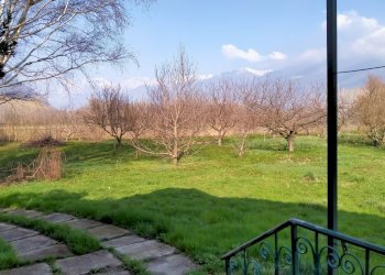 IMG20260312100225.jpg - Villa Via Moncenisio  4, Sant'Ambrogio di Torino - foto 14