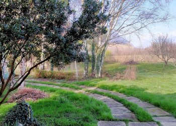 IMG20260312100231.jpg - Villa Via Moncenisio  4, Sant'Ambrogio di Torino - foto 15