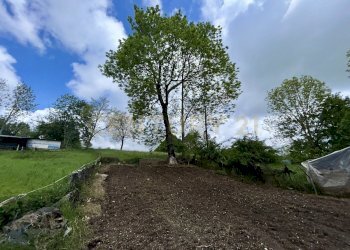 05.jpeg - Agricultural land Contrada Tezze, Velo Veronese - photo 5