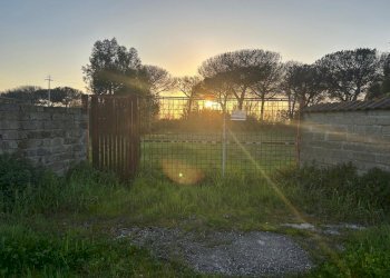8.jpg - Terreno agricolo Via Gavi 6, Aprilia - foto 8