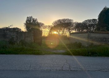 10.jpg - Terreno agricolo Via Gavi 6, Aprilia - foto 10