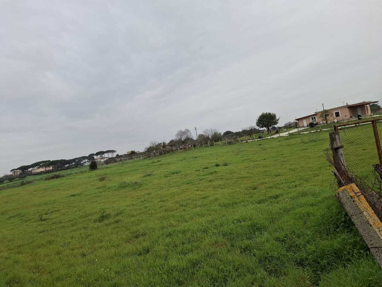 terreno - Terreno agricolo Via del Pino, Nettuno - foto 1